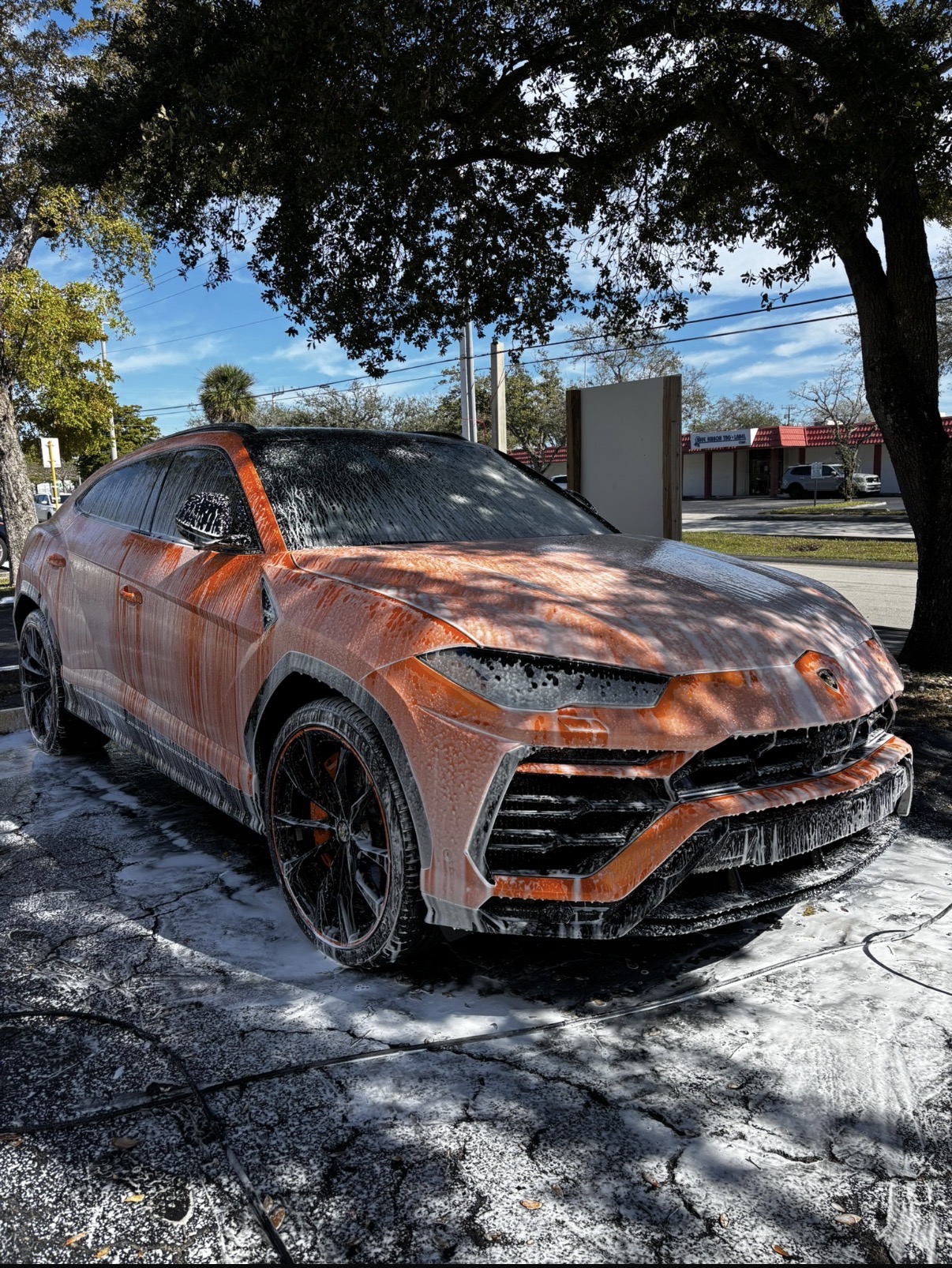 Premium Detailing